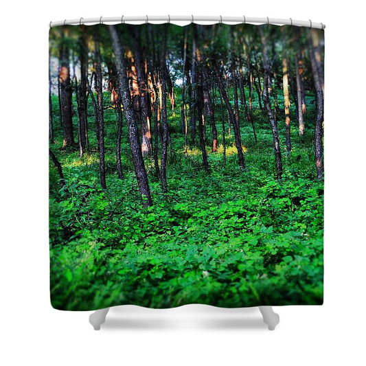 Patchy Sunlight In The Woods 1 - Shower Curtain