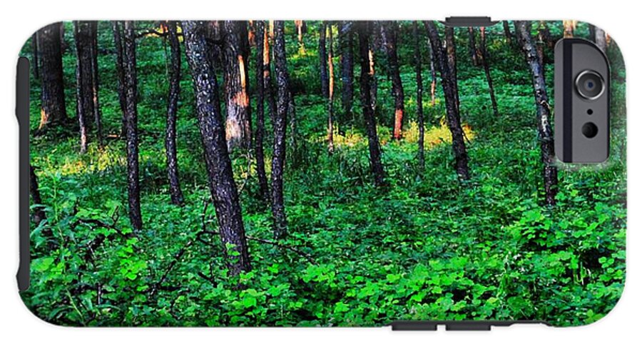 Patchy Sunlight In The Woods 1 - Phone Case