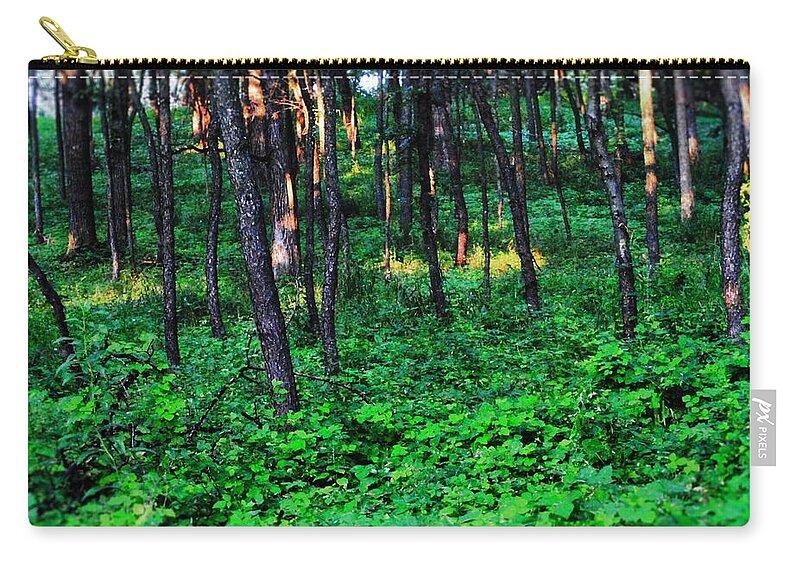 Patchy Sunlight In The Woods 1 - Zip Pouch