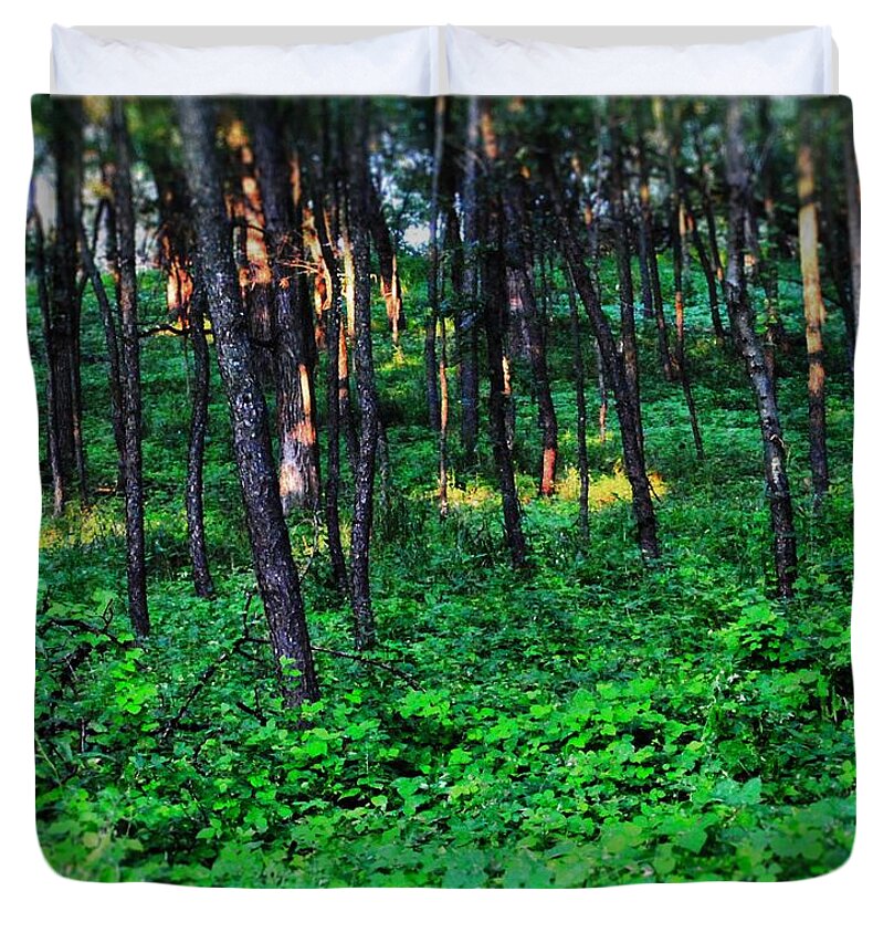 Patchy Sunlight In The Woods 1 - Duvet Cover