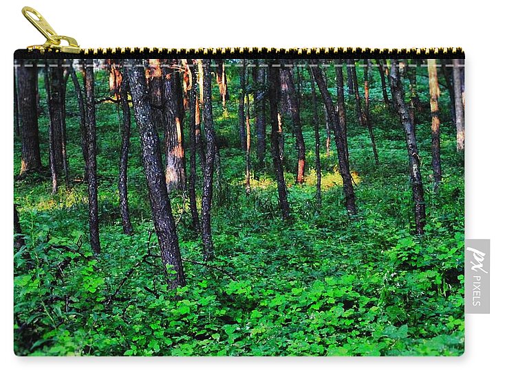 Patchy Sunlight In The Woods 1 - Zip Pouch