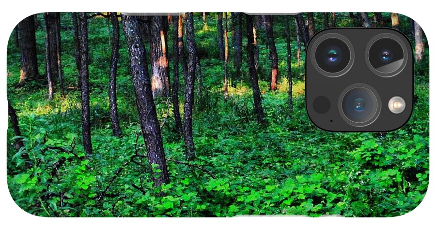 Patchy Sunlight In The Woods 1 - Phone Case