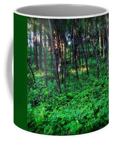 Patchy Sunlight In The Woods 1 - Mug