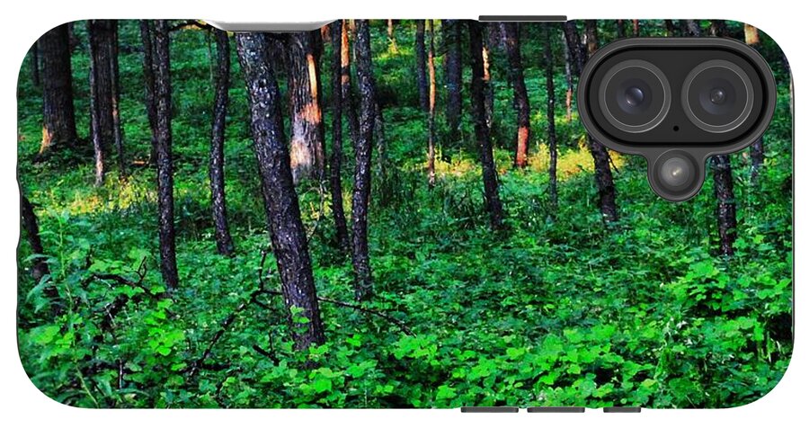 Patchy Sunlight In The Woods 1 - Phone Case