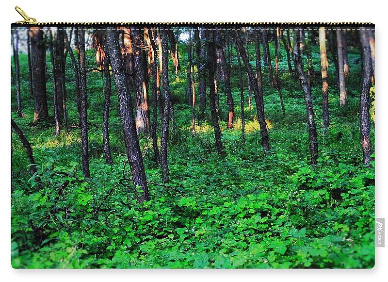 Patchy Sunlight In The Woods 1 - Zip Pouch