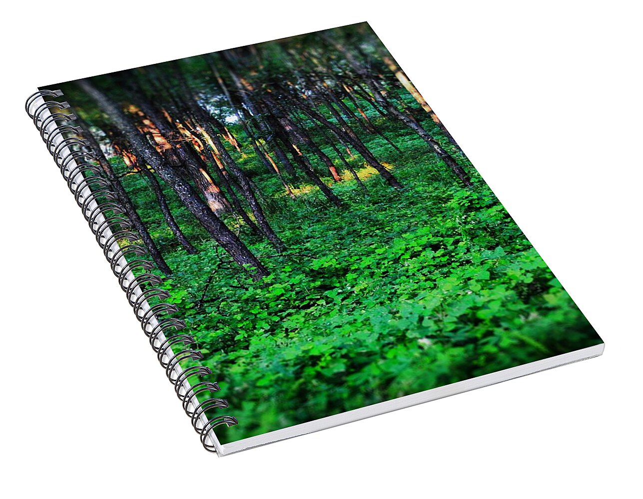 Patchy Sunlight In The Woods 1 - Spiral Notebook