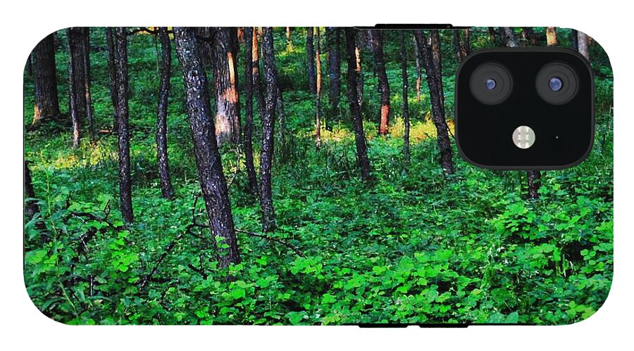 Patchy Sunlight In The Woods 1 - Phone Case