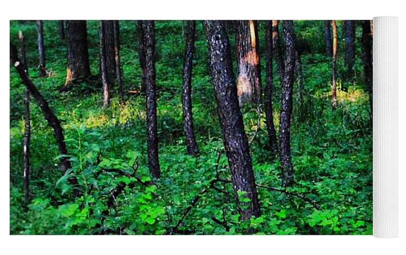 Patchy Sunlight In The Woods 1 - Yoga Mat