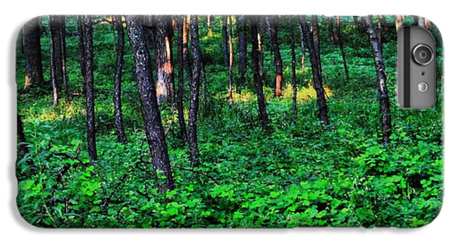 Patchy Sunlight In The Woods 1 - Phone Case