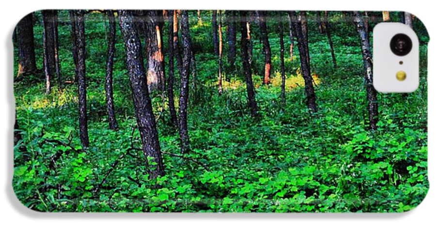 Patchy Sunlight In The Woods 1 - Phone Case