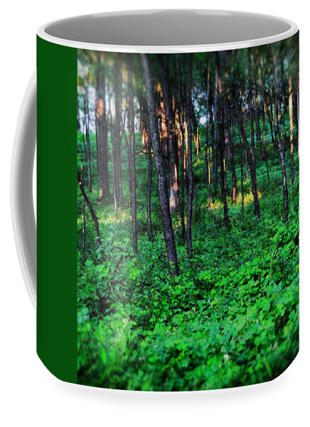 Patchy Sunlight In The Woods 1 - Mug