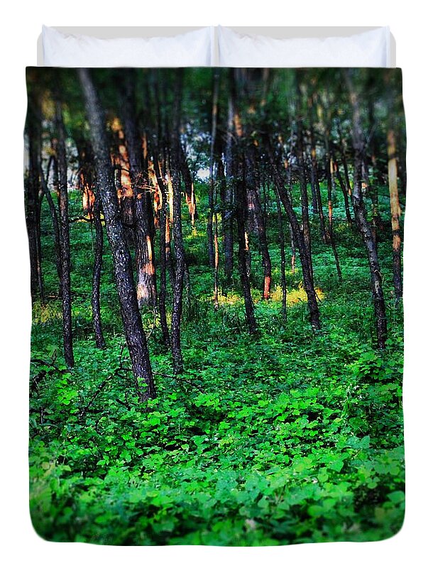 Patchy Sunlight In The Woods 1 - Duvet Cover