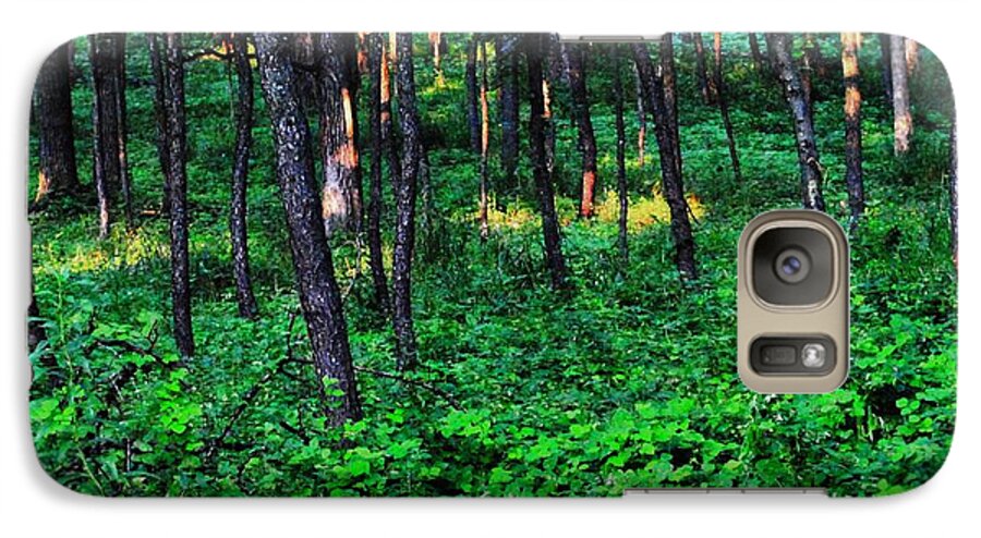 Patchy Sunlight In The Woods 1 - Phone Case