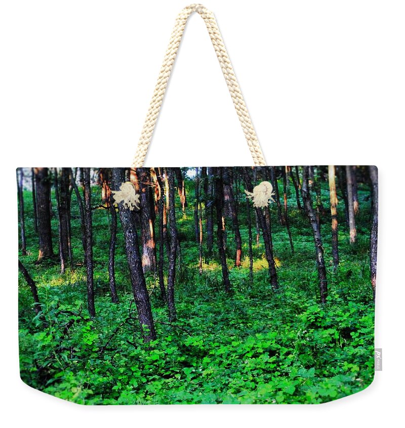 Patchy Sunlight In The Woods 1 - Weekender Tote Bag