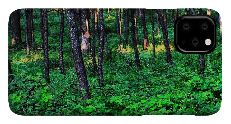 Patchy Sunlight In The Woods 1 - Phone Case