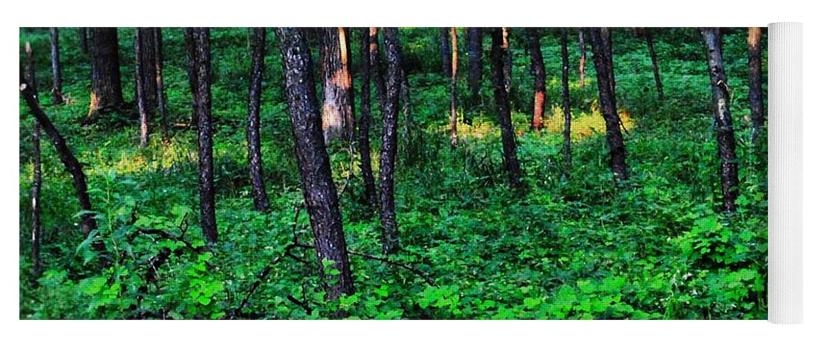 Patchy Sunlight In The Woods 1 - Yoga Mat