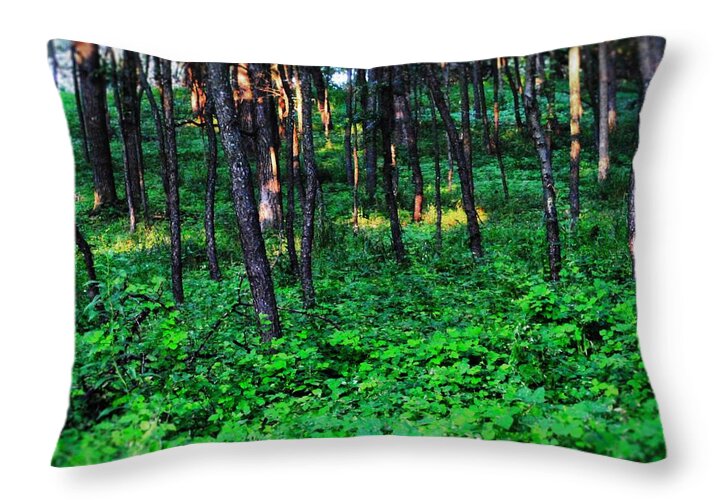 Patchy Sunlight In The Woods 1 - Throw Pillow