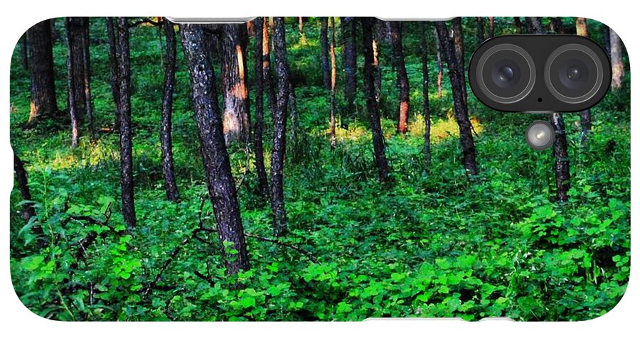 Patchy Sunlight In The Woods 1 - Phone Case