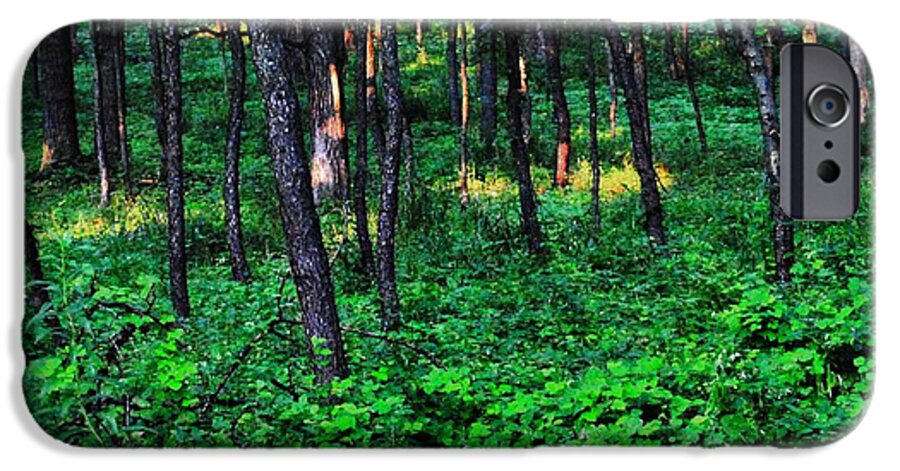 Patchy Sunlight In The Woods 1 - Phone Case