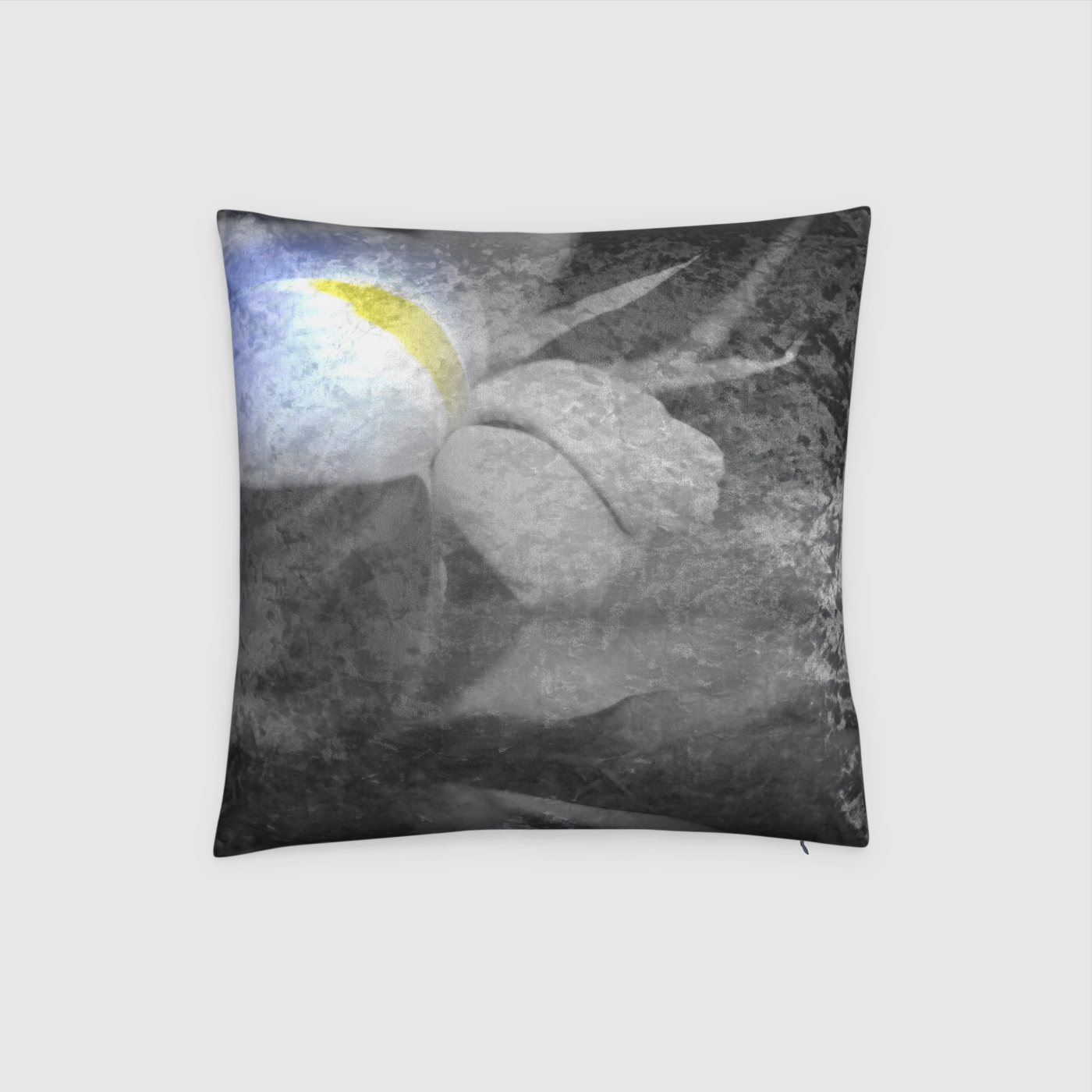 Black and White Iris Crushed Velvet Throw Pillow