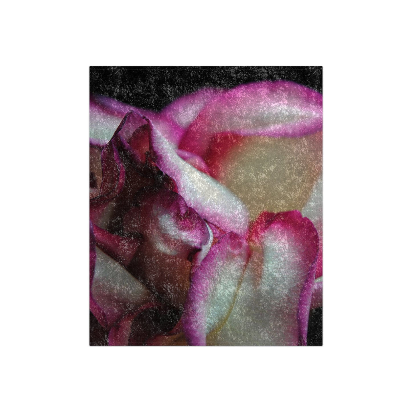 Pink Lined White Rose Crushed Velvet Blanket