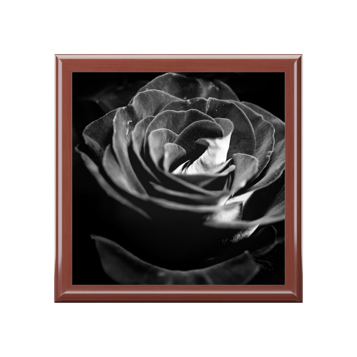 Dark Black and White Rose Jewelry Box