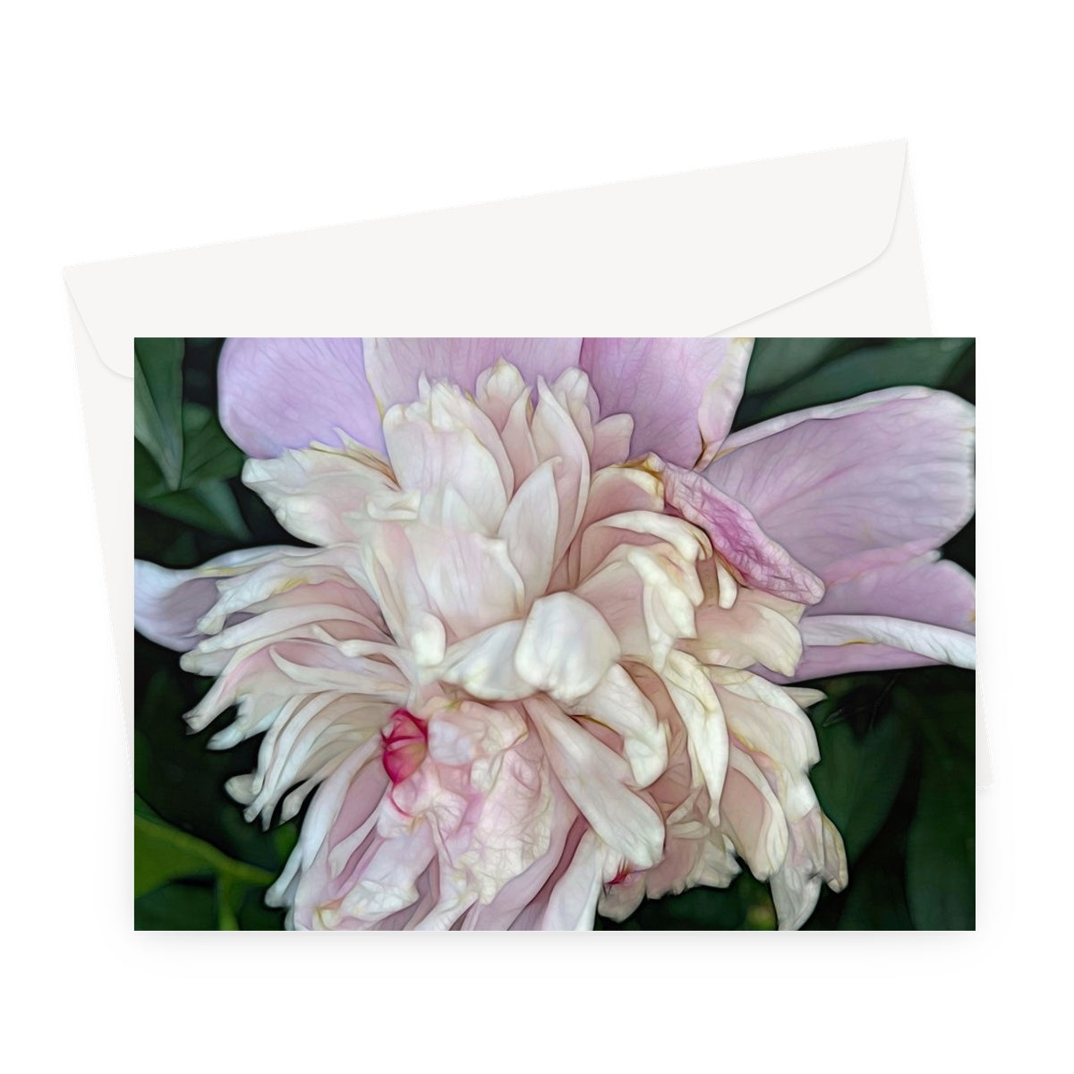 June Peony Greeting Card