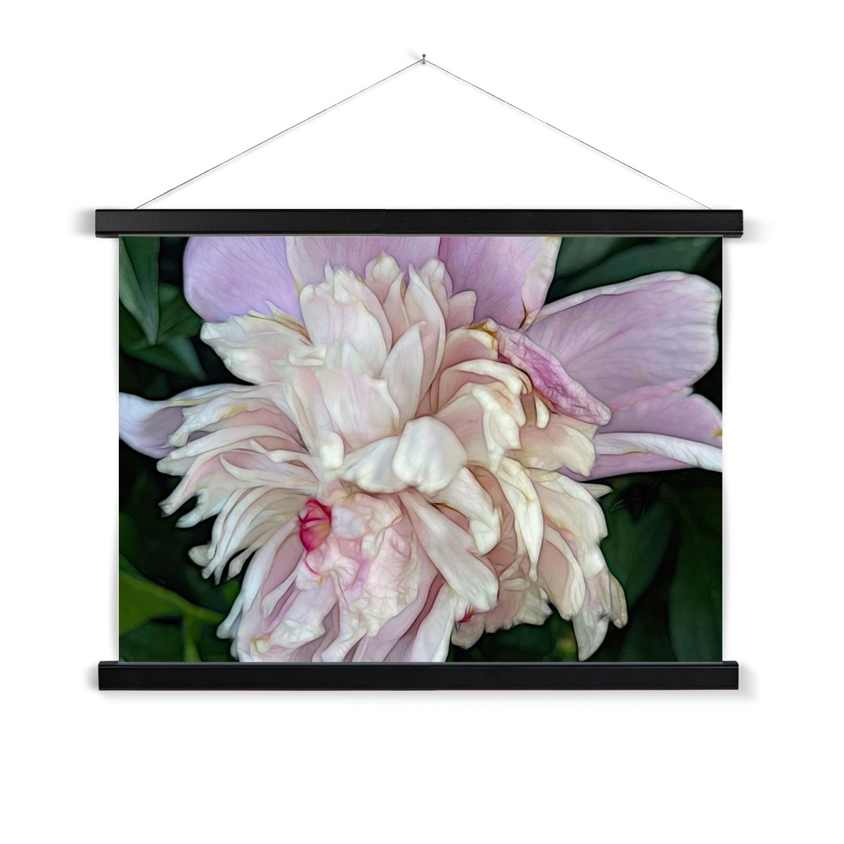 June Peony Fine Art Print with Hanger