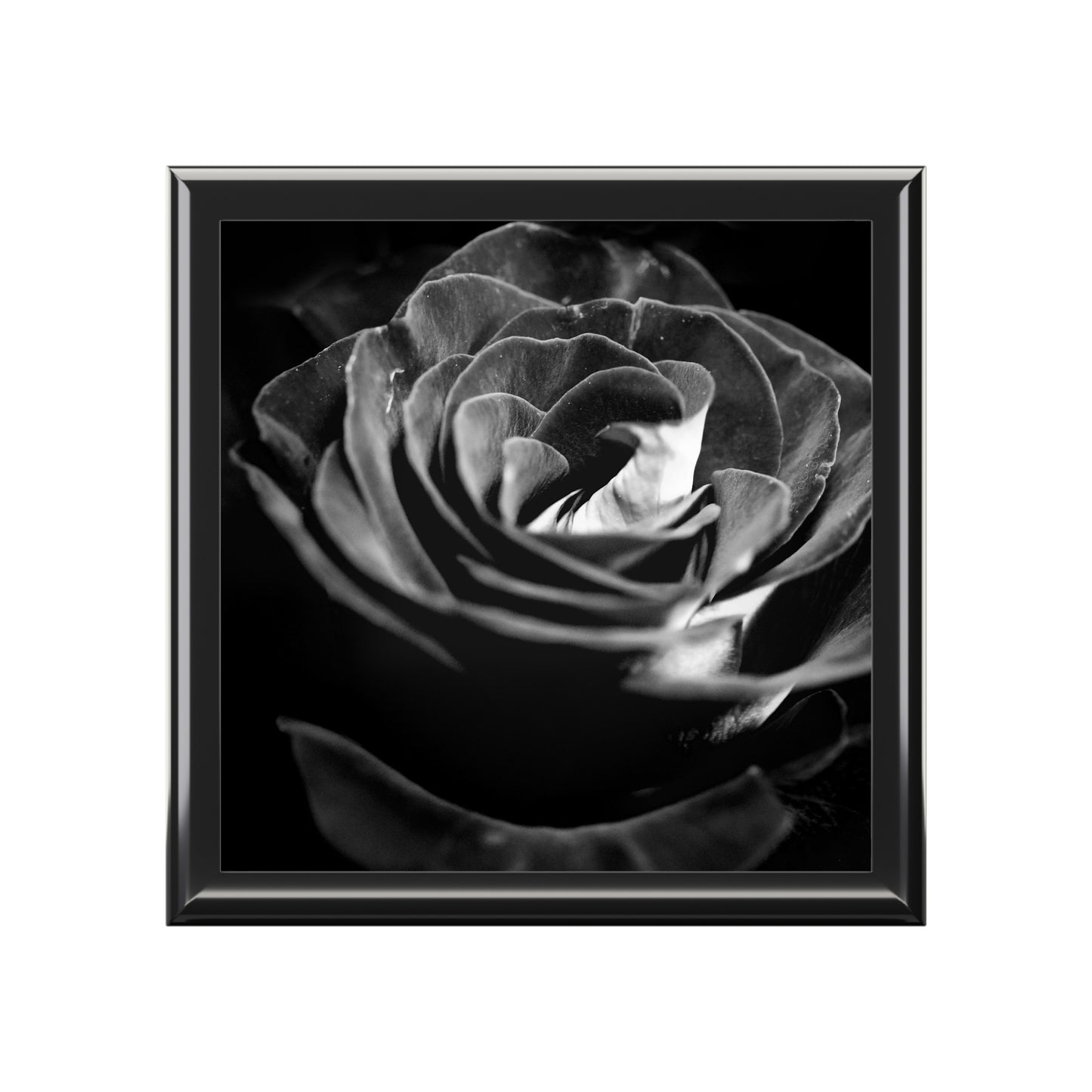 Dark Black and White Rose Jewelry Box