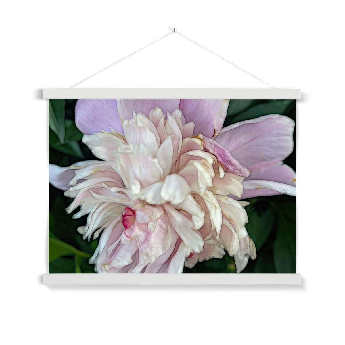 June Peony Fine Art Print with Hanger