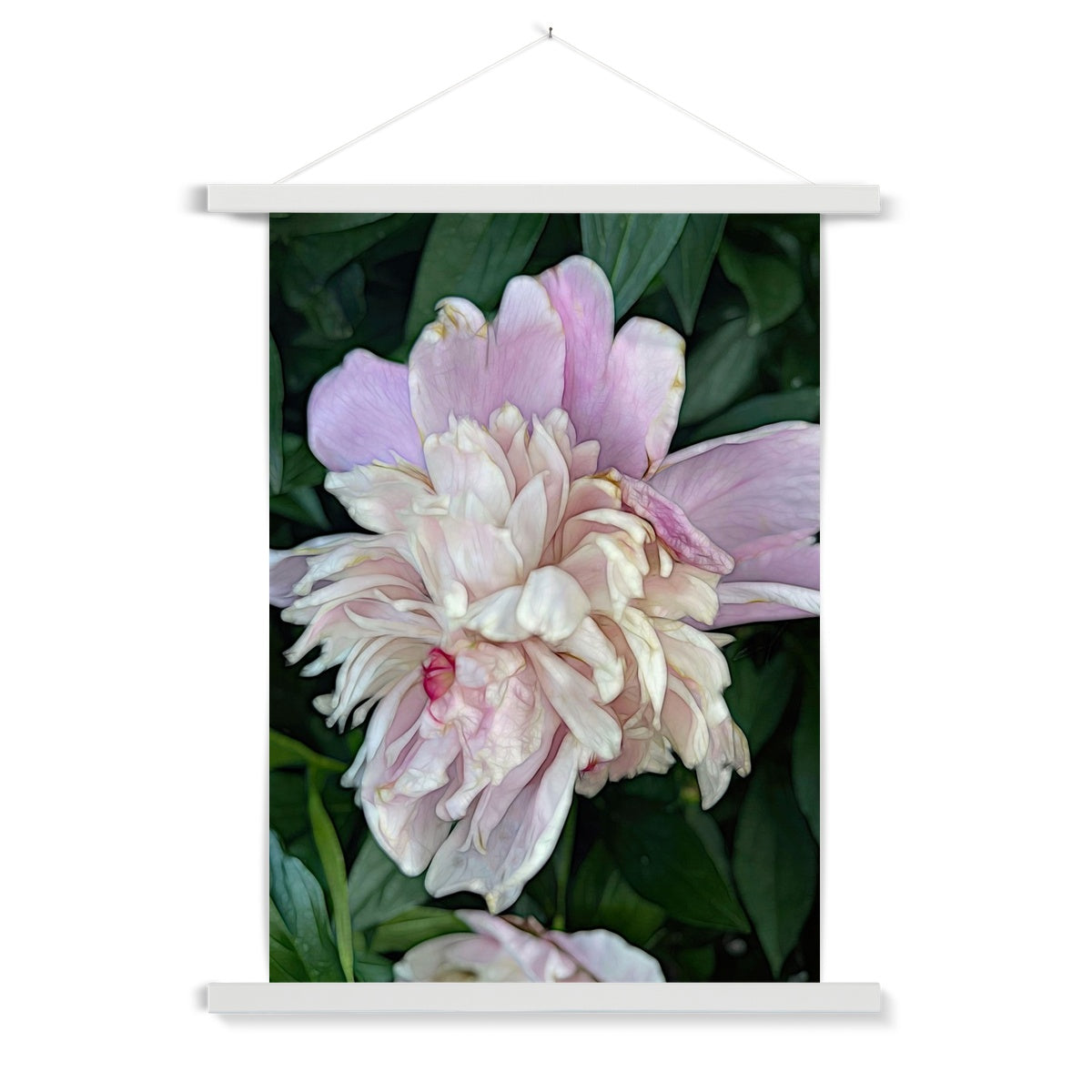 June Peony Fine Art Print with Hanger