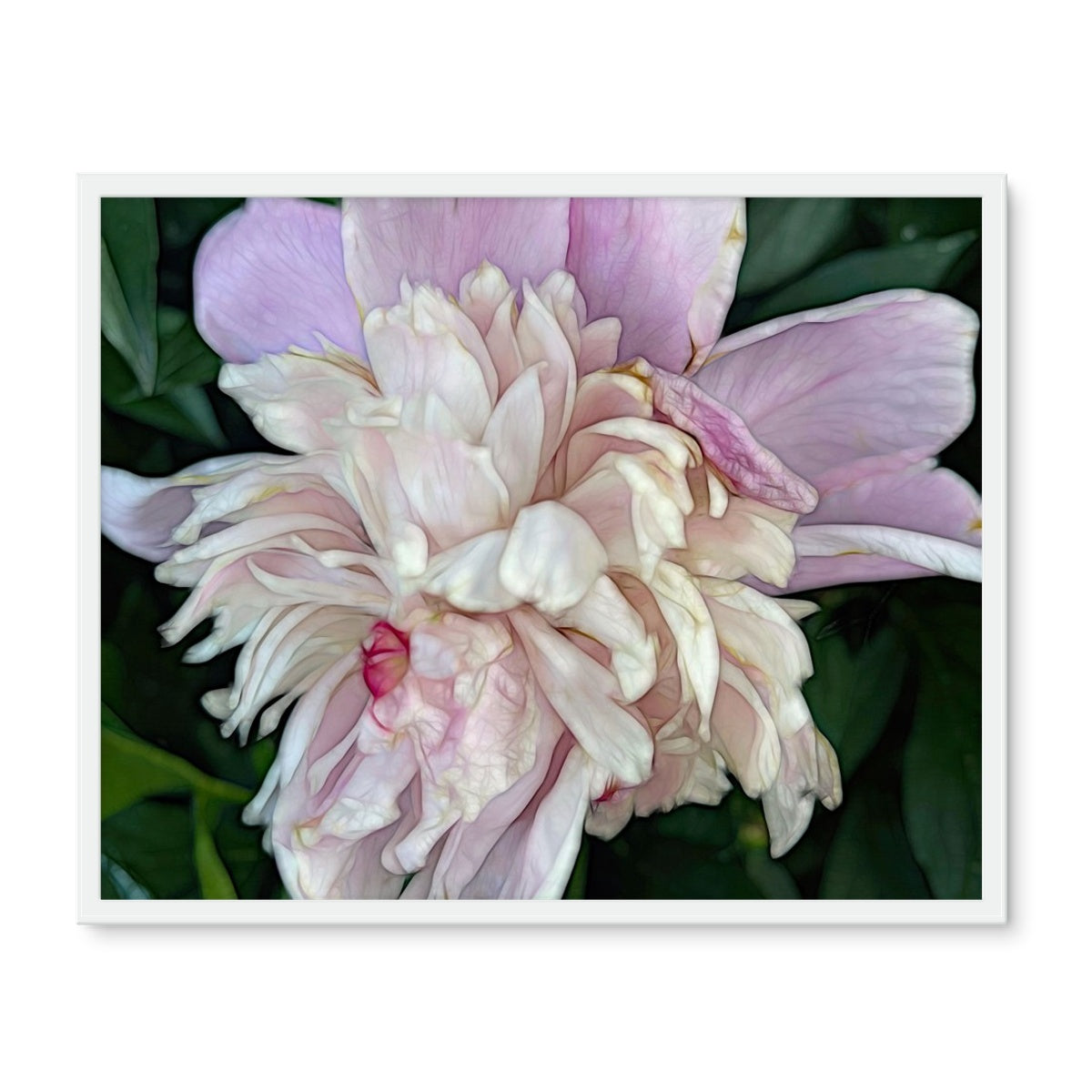 June Peony Framed Photo Tile