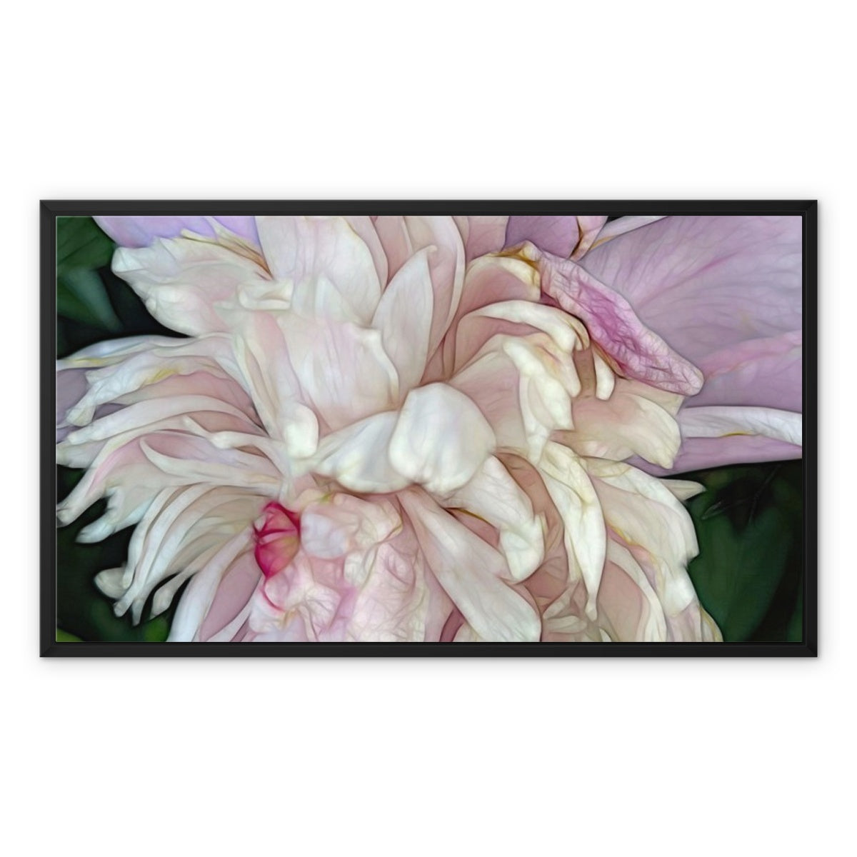 June Peony Framed Canvas