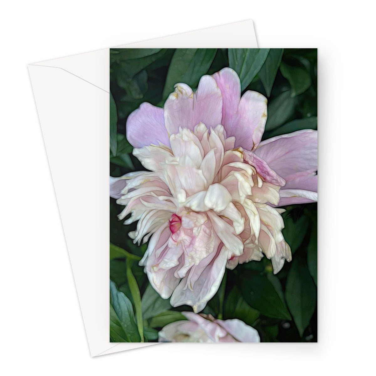 June Peony Greeting Card