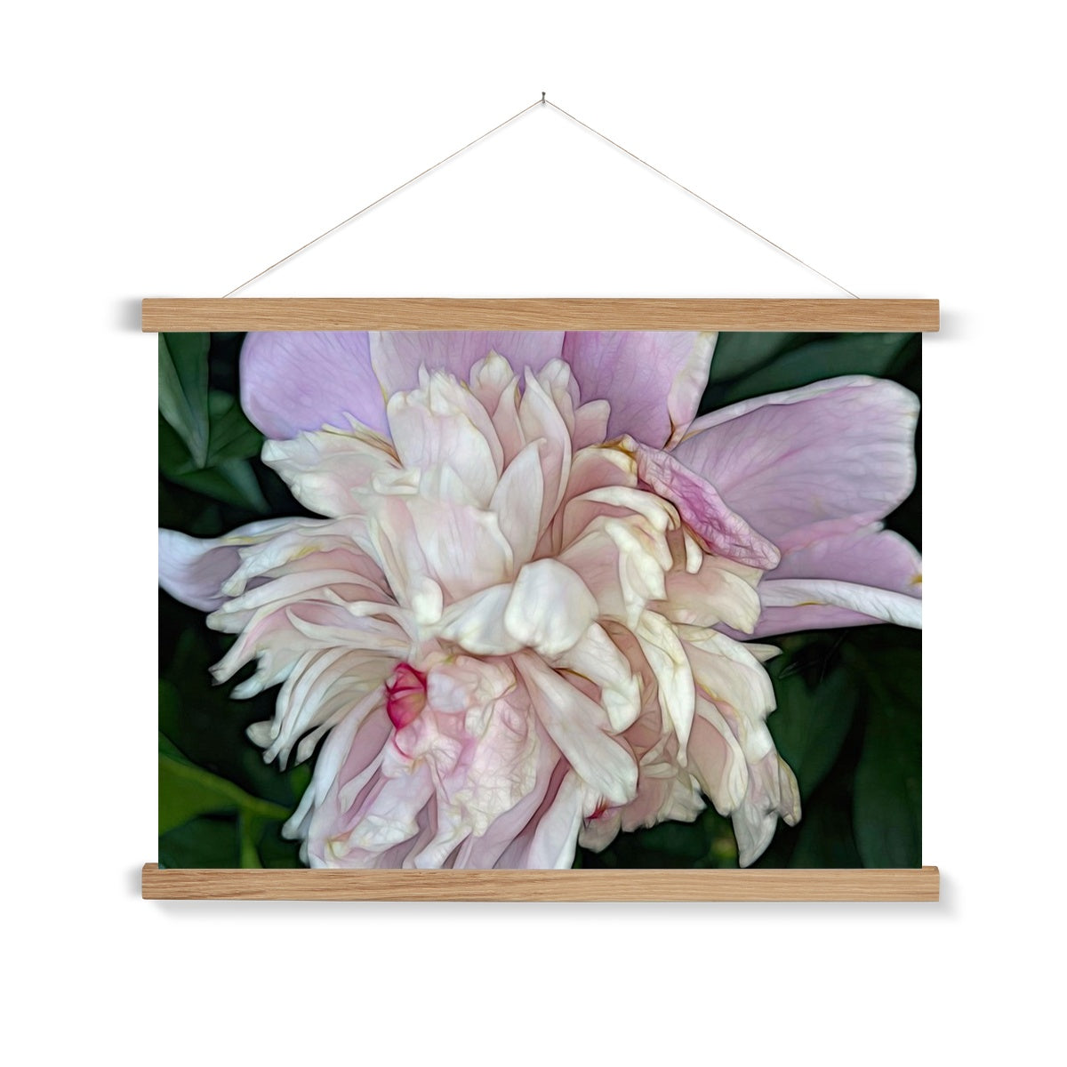 June Peony Fine Art Print with Hanger