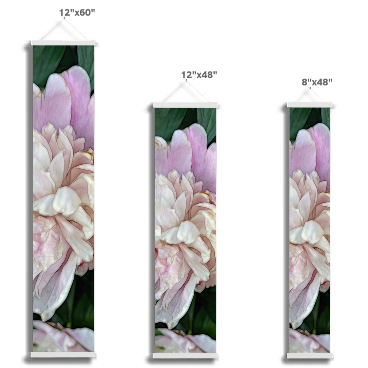 June Peony Wall Height Chart