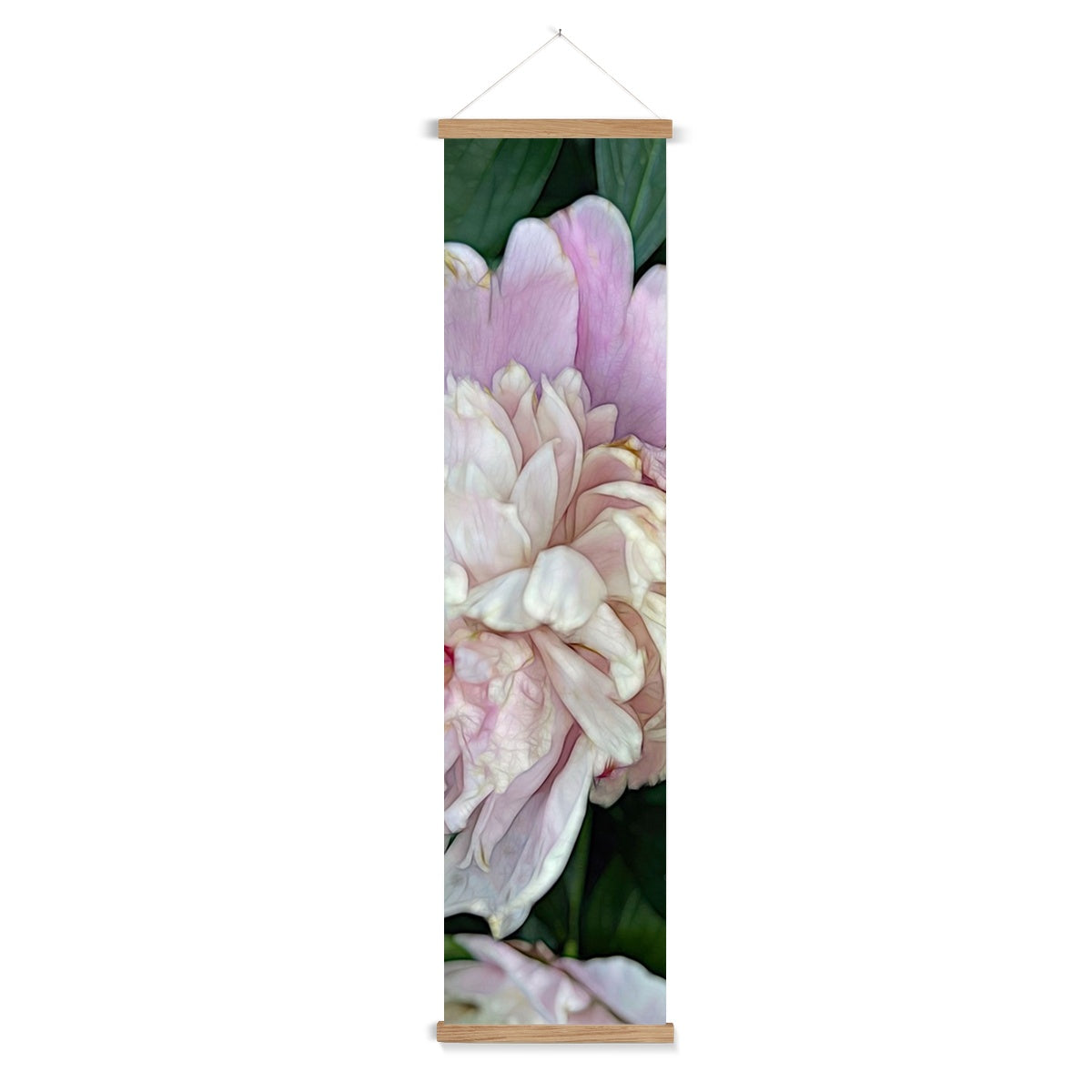 June Peony Wall Height Chart