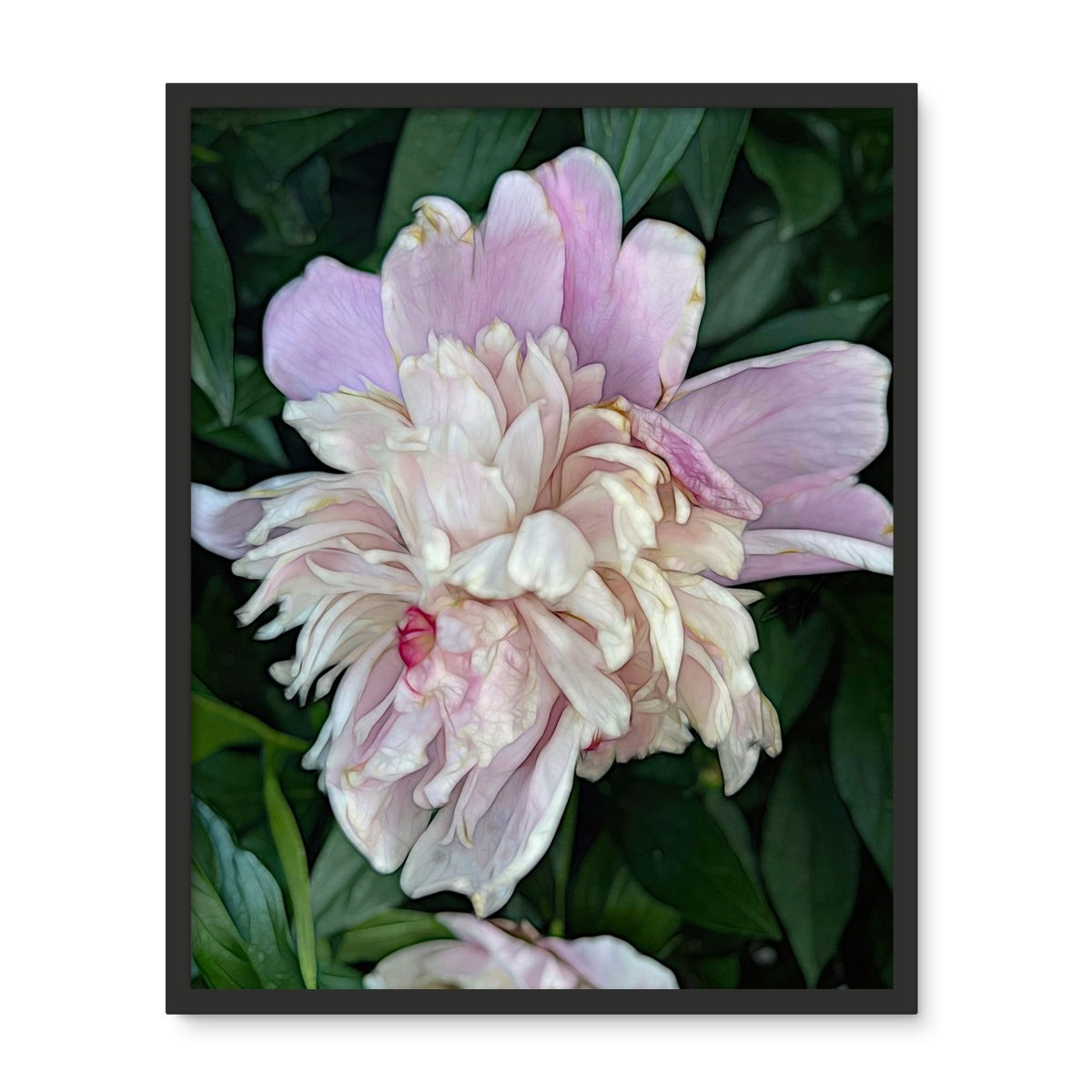 June Peony Framed Photo Tile