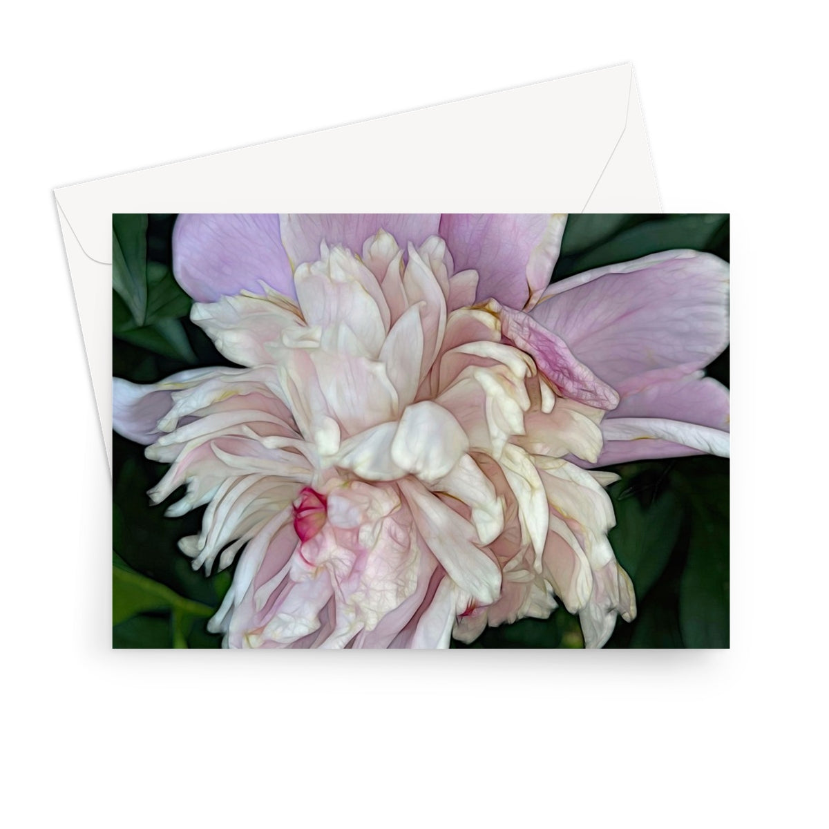 June Peony Greeting Card