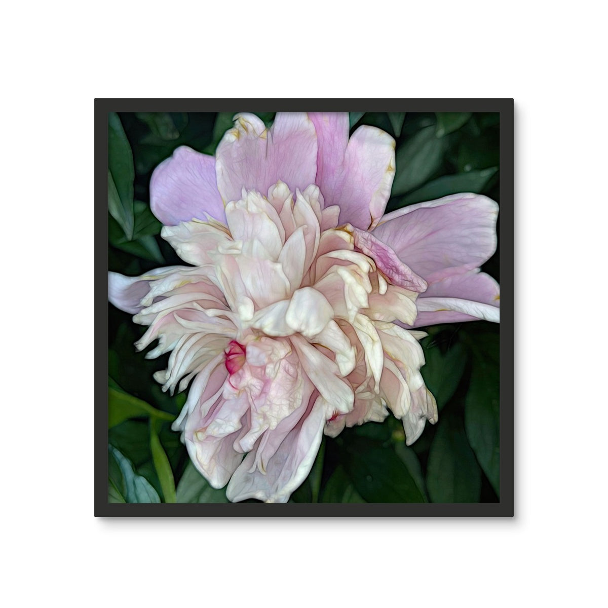 June Peony Framed Photo Tile