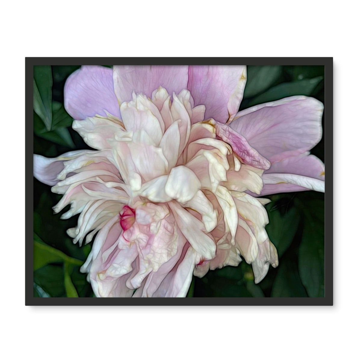 June Peony Framed Photo Tile