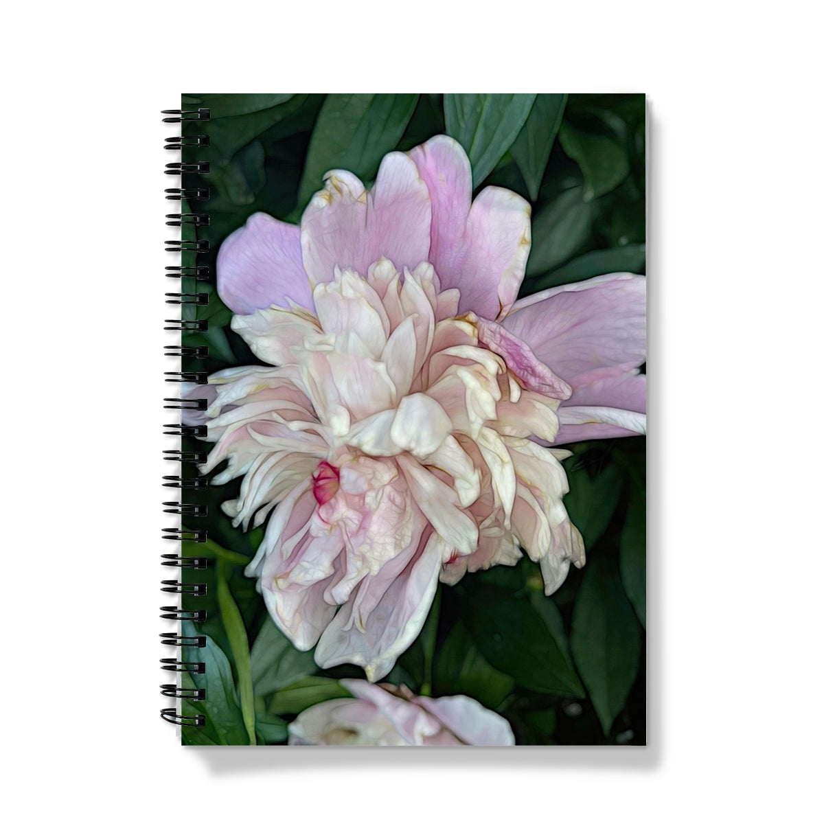 June Peony Notebook