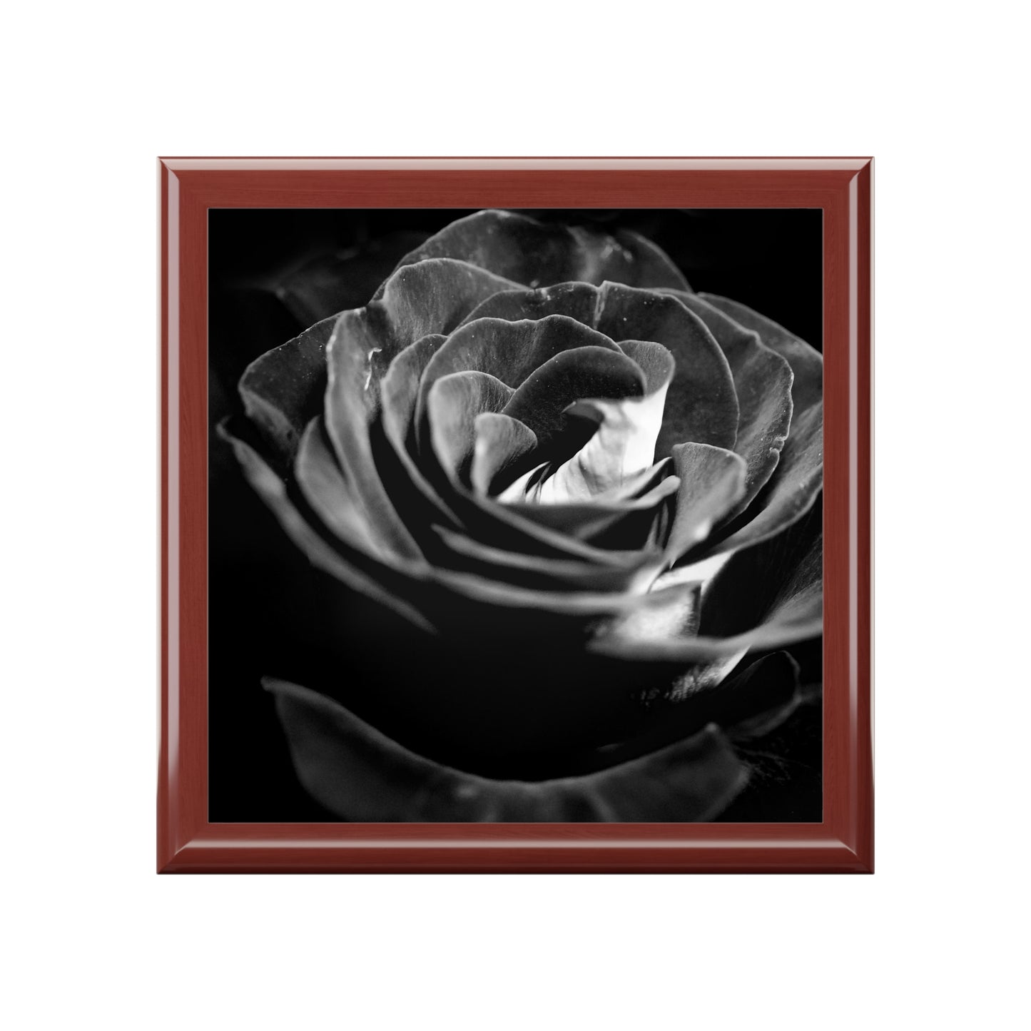 Dark Black and White Rose Jewelry Box