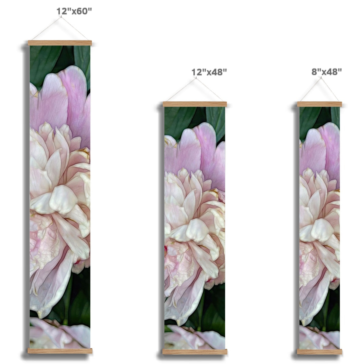 June Peony Wall Height Chart