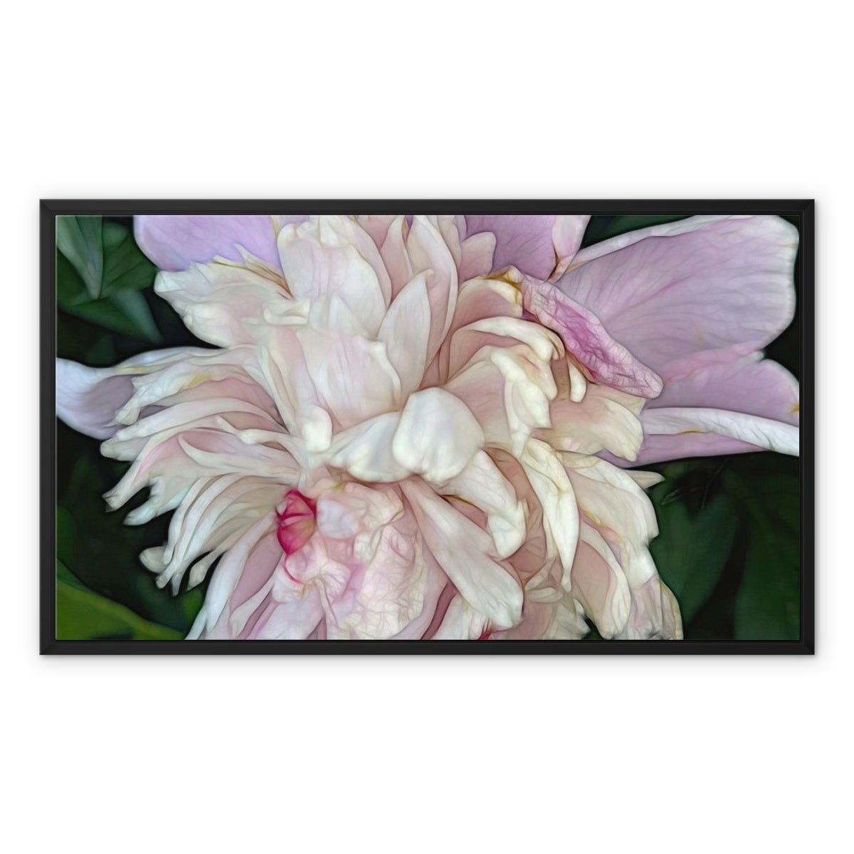 June Peony Framed Canvas