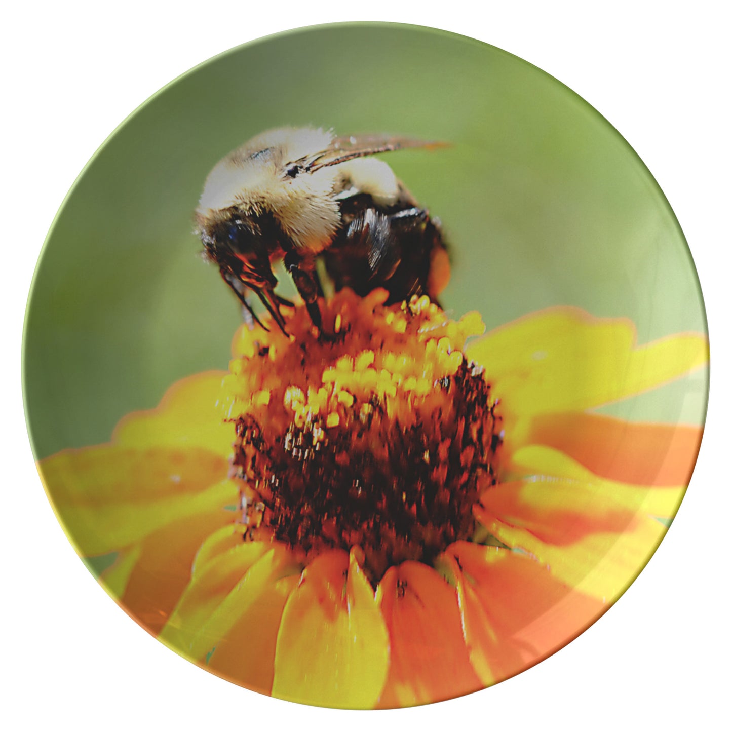 Bee on a Flower Dinner Plate