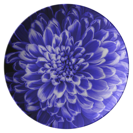 Blue Chrysanthemum Dinner Plate