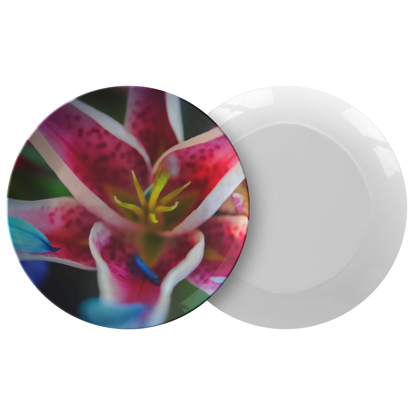 Blue Petals On a Pink and White Lily Dinner Plate