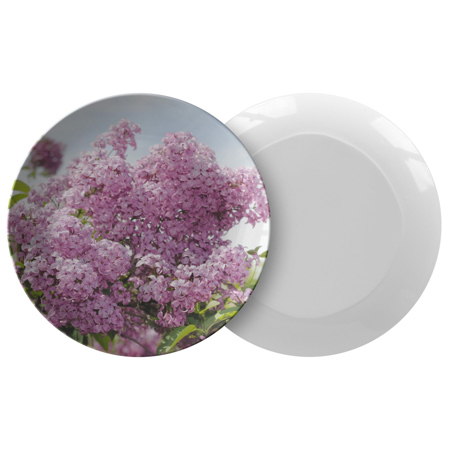 Lilacs Dinner Plate