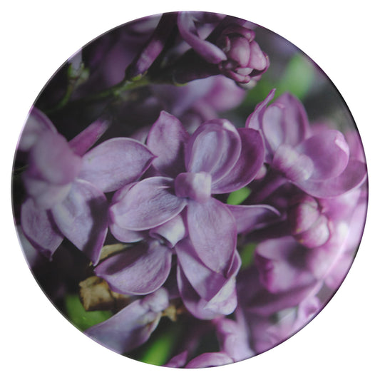 Macro Lilacs Dinner Plate